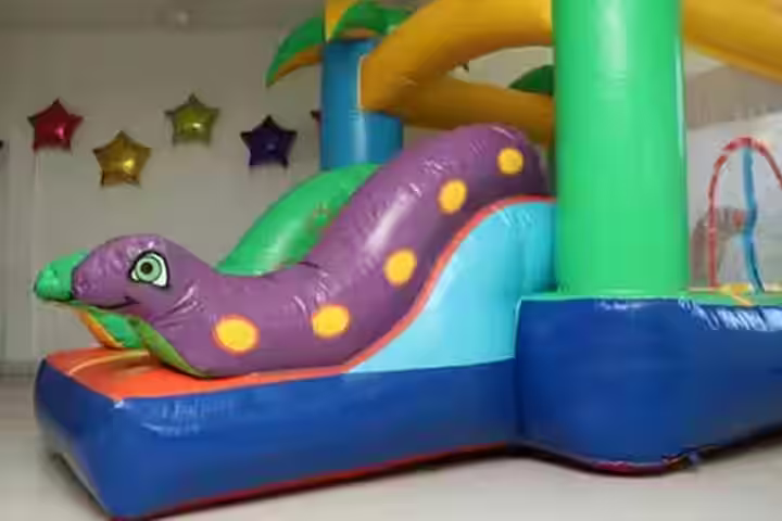 Animales safari - Mini Jungla inflable para fiestas CDMX